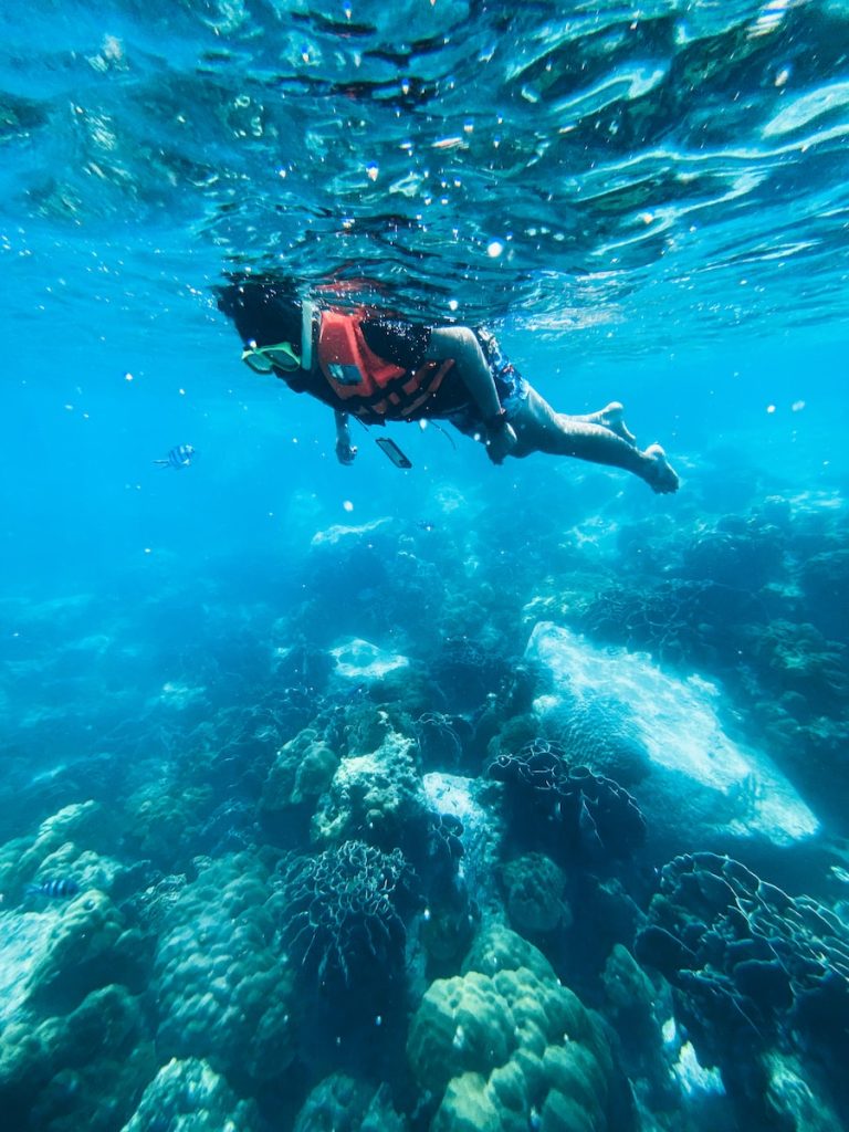 Best Cruise Lines for Excursions snorkeling