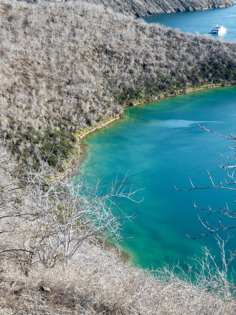 Best Cruise Lines For Galapagos