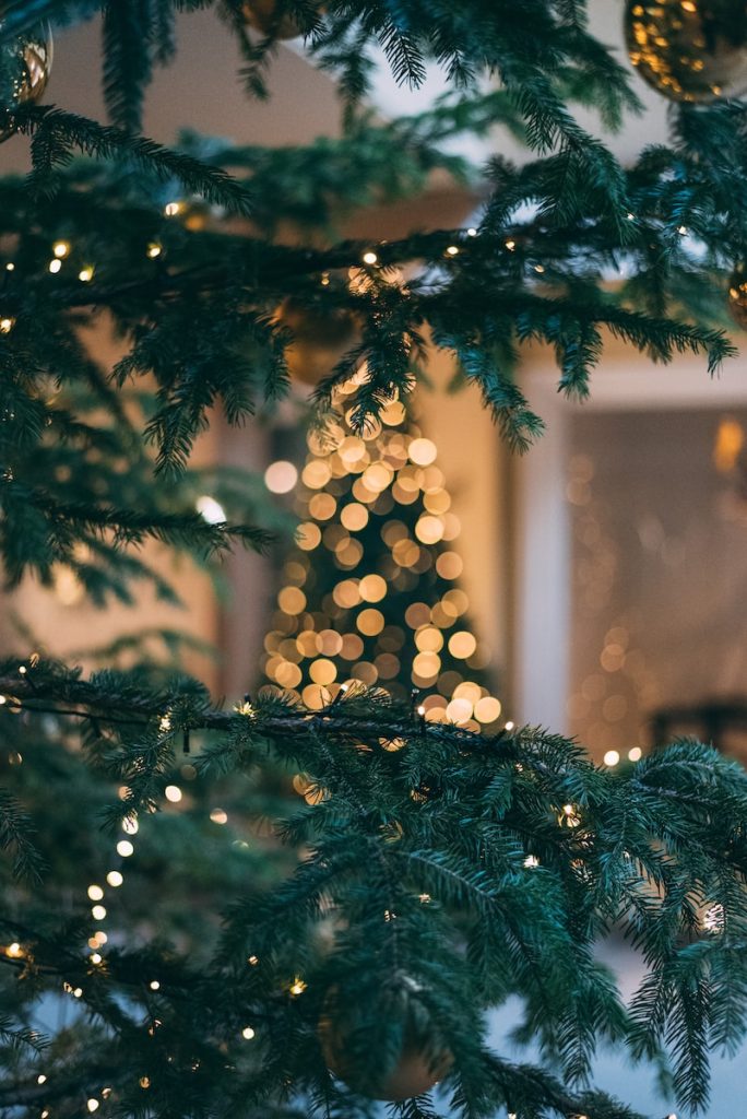 Christmas cruises will be more expensive